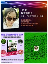 绿色五贝子的使用方法？绿色五贝子一洗黑染发