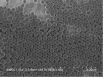 2.8μm羧基磁珠图片2