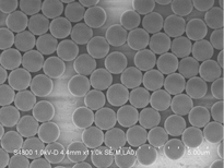 2.8μm链霉亲和素磁珠图片1