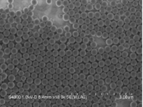 2.8μm羧基磁珠图片4