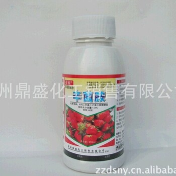 草莓炭疽病爛秧爛果灰霉病好農(nóng)藥殺菌劑