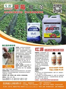 草莓爛病好農(nóng)藥草莓生根快草莓黃萎病灌根澆根養(yǎng)根藥