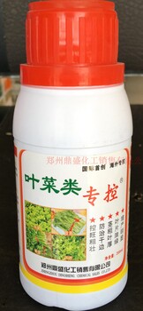 芫荽香菜生菜茼蒿苦苣控旺促壮增产防黄叶小叶好产品、叶菜类控旺叶片嫩绿肥厚好农药