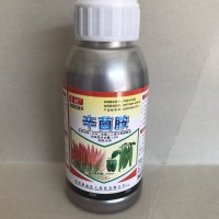 辣椒炭疽病疮痂病专用杀菌剂烂果烂根茎秆病叶斑青枯病好农药落叶小叶灰霉好产品