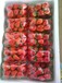 草莓膨大增甜口感好草莓果子不空心不软果果色均匀品质好