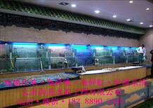 昆明酒店海鲜池，云南酒店海鲜池定做，云南超市海鲜池图片2