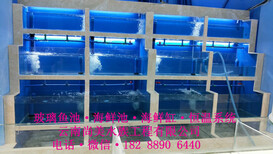 昆明酒店海鲜池，云南酒店海鲜池定做，云南超市海鲜池图片4