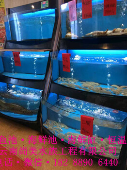 玉溪酒店海鮮池，玉溪玻璃組缸制作廠家，玉溪海鮮超市設(shè)計(jì)施工