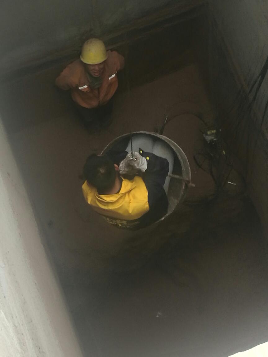 煙臺萊山區(qū)高速公路修建需要破除硬石頭不能放炮包安裝調(diào)試采石器