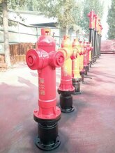 岳阳自动跟踪定位射流灭火装置(厂家直销)图片
