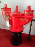 常德全装型消防水炮（价格）图片4