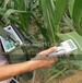 3051D植物光合/呼吸/蒸腾测量系统,植物光合速率测量系统-托普云农