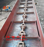 大型刮板上料输送机潍坊水泥粉刮板输送机钣链刮板机订做图片2
