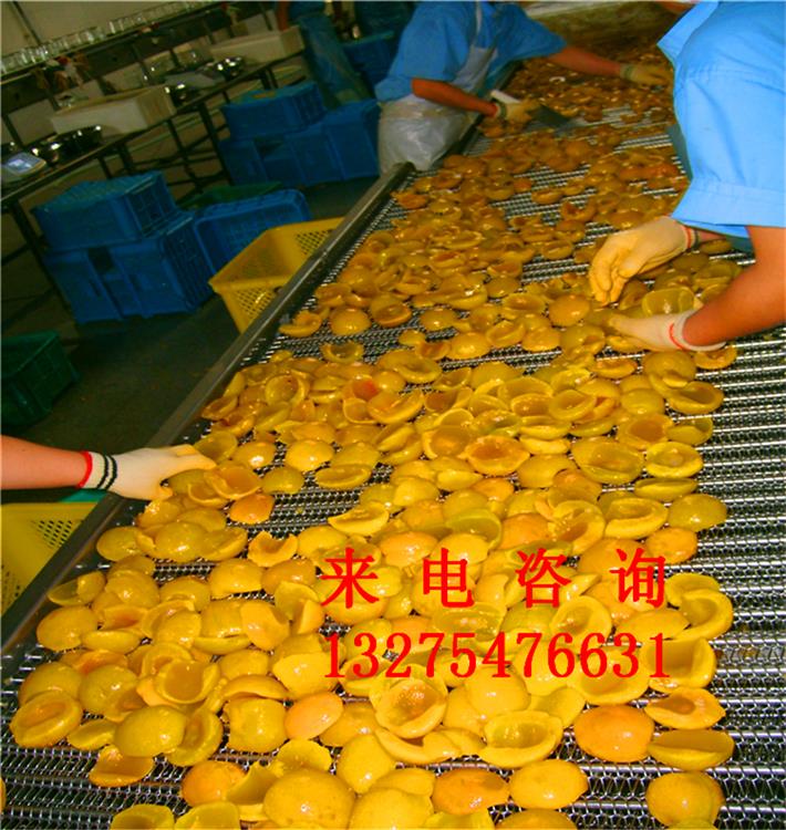 罗庄检修平台带式输送机饰品加工点用皮带机经济