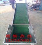 深圳轮式装车皮带机食品带输送机环保卫生生产图片5