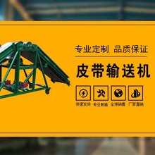 专业订制皮带输送机定制箱装苹果装车输送机图片