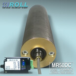 广东迈姆特MR50DC动力滚筒直流电动辊筒配置控制器图片3