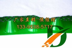 20厚塑料凹凸排水板厂家价格图片5