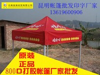 昆明户外帐篷出租帐篷批发全进口静电喷漆防水防锈图片0