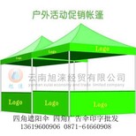 帐篷伞尺寸云南各地州供货图片4