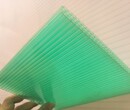 上海透明双层空心阳光板产品种类齐全各种规格尺寸定制生产