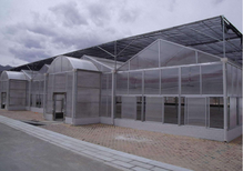 兰州阳光板兰州PC阳光板兰州温室大棚阳光板十年品质图片3