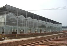 兰州阳光板兰州PC阳光板兰州温室大棚阳光板十年品质图片2