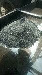 福州煤焦化净化回收剂价格福州破乳剂的详细说明图片4