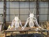 异形不锈钢蚂蚁雕塑摆件佛山大型雕塑厂家设计加工定制