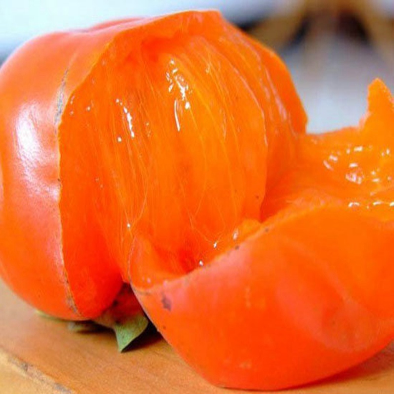 芜湖次郎甜柿子苗市场采购价格