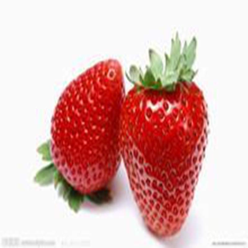 淮安高产红袖添香草莓苗今年价格