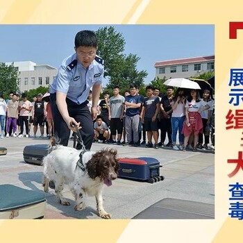 青岛进口清关代理，青岛进出口报关代理公司，青岛海运空运进出口代理