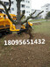 挖树机器厂家挖树队人工履带式可出租可挖冻土