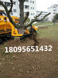 挖树机器厂家挖树队人工履带式可出租可挖冻土图片