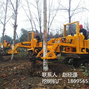 三普挖树机机械挖树队挖树设备