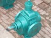 河北艾克厂家直销YCBC不锈钢圆弧齿轮泵