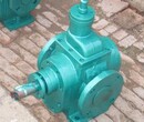 泊头艾克泵业供应优质不锈钢圆弧齿轮泵图片