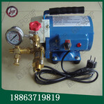 云南热卖DSY-60电动试压泵手提式电动试压泵厂家主推产品