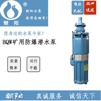 朝阳电机泵业供应BQW40-12-3矿用隔爆潜水电泵