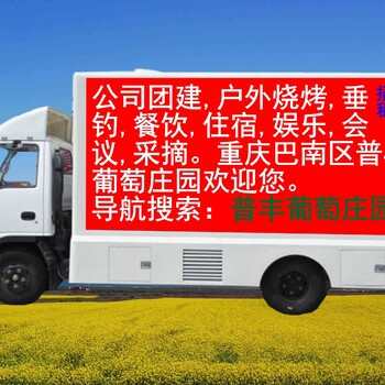 重庆新能源汽车出租，企业租车，单位租车