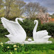 汉白玉石雕天鹅-喷水石雕天鹅雕塑批发促销价格、产地货源