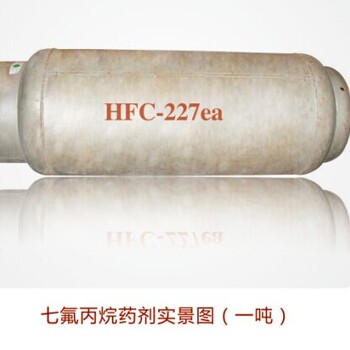 七氟丙烷（HFC-227ea）自动灭火系统厂家