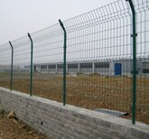 厂家供应PVC包塑高速铁路护栏网图片4
