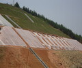 山体土壤修复绿化施工专用保水剂粘合剂厂家销售