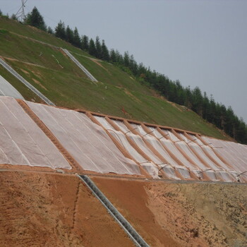 福建边坡绿化客土喷播技术材料土壤粘合剂销售