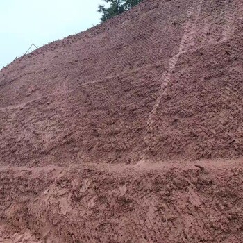 甘肃兰州边坡绿化客土喷播山体修复粘合剂厂家销售