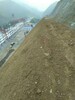 重慶山體修復邊坡綠化專用土壤保水劑粘合劑廠家銷售