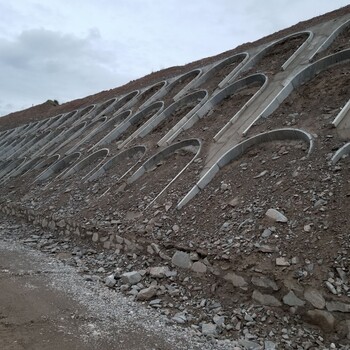 路騰生態(tài)客土噴播技術(shù)工程基質(zhì)土壤粘合劑