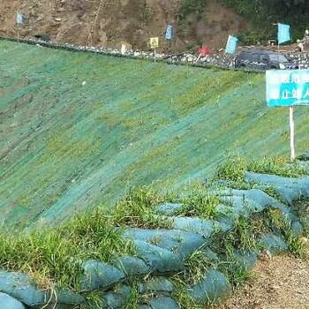 边坡绿化土壤粘合剂技术使用方法