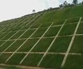 四川礦山巖石邊坡生態恢復綠化噴播技術專用團粒劑